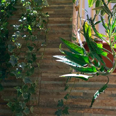 Chibedda Dimora Lia Casa vacanze Aci Trezza